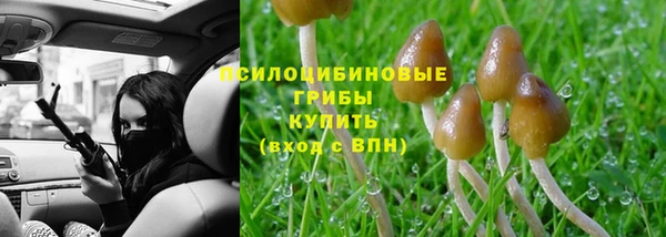 ПСИЛОЦИБИНОВЫЕ ГРИБЫ Гусь-Хрустальный